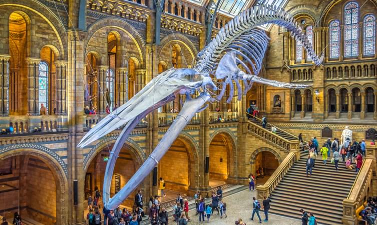 Natural History Museum