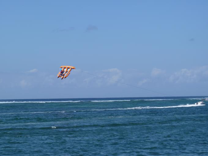 Flying Fish, Bali