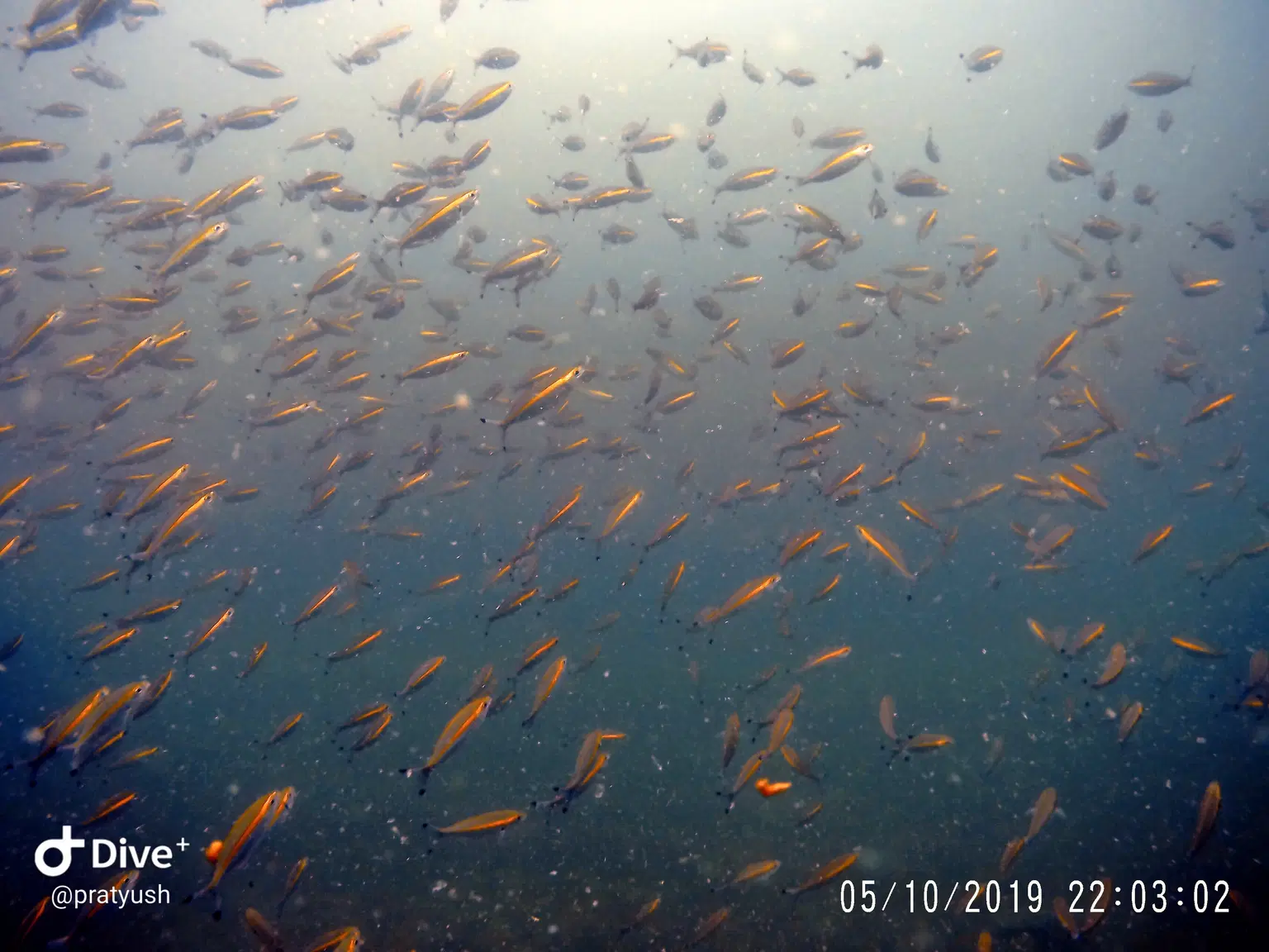 Photo from Pratyush dayal's trip