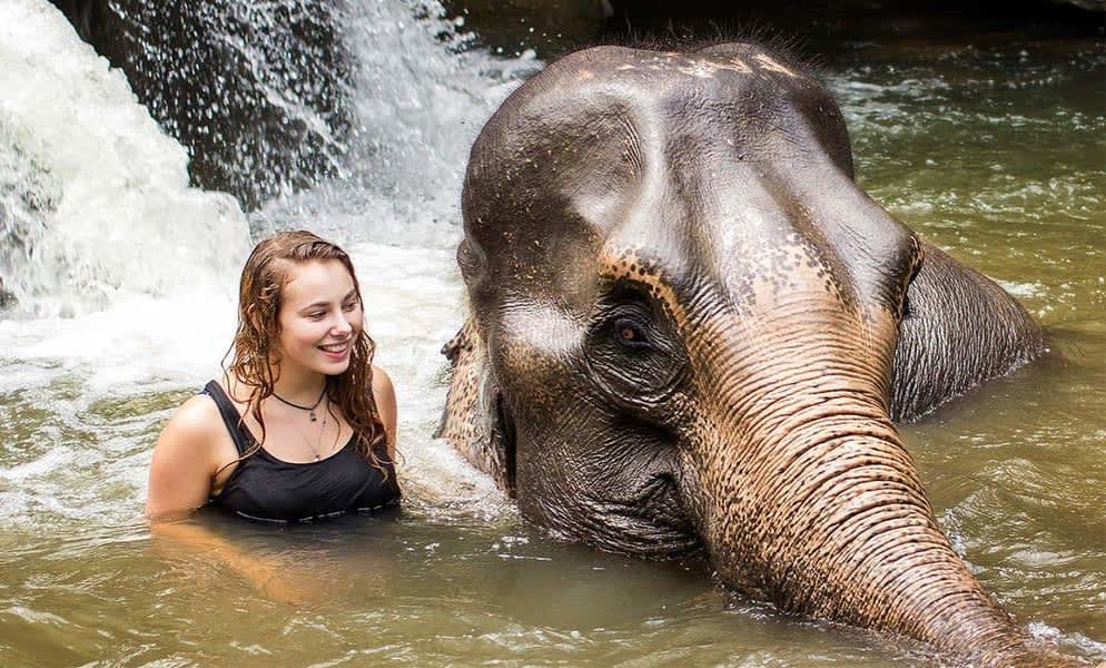 Get the opportunity to undergo a bathing experience along with your elephant buddies