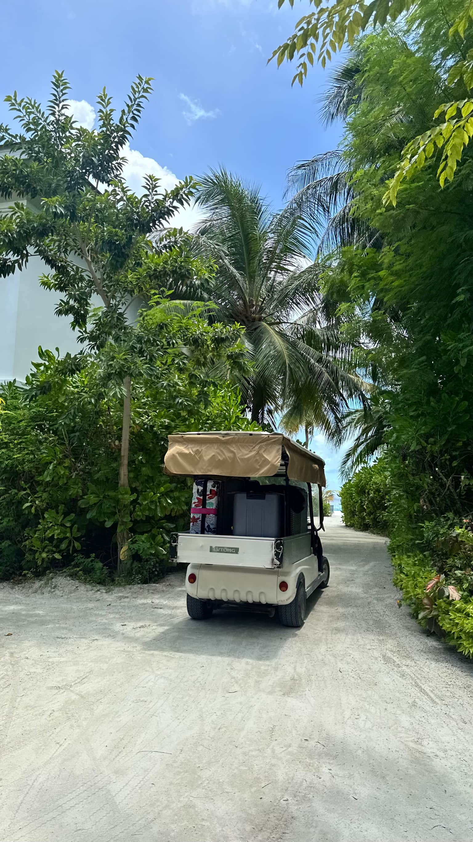 Photo from Shrey Saxena's trip
