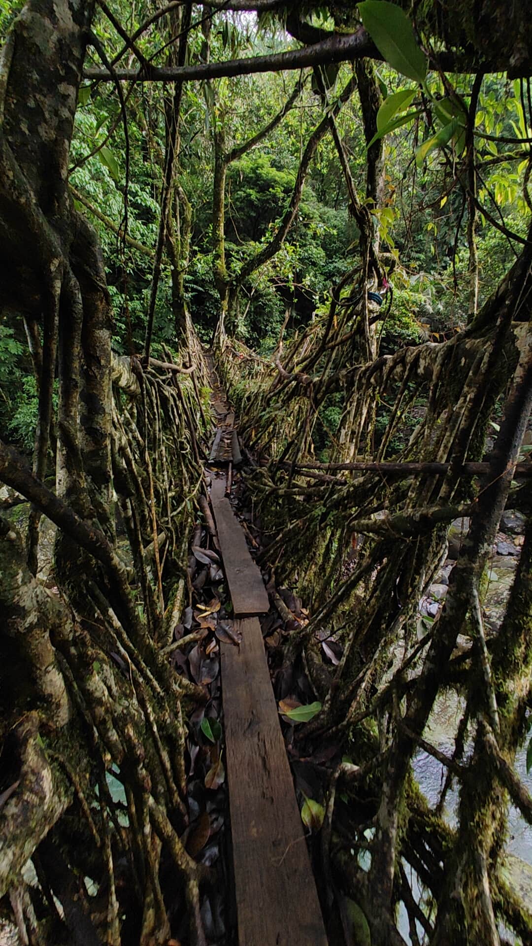 Photo from Prateek Kumar Pallai's trip