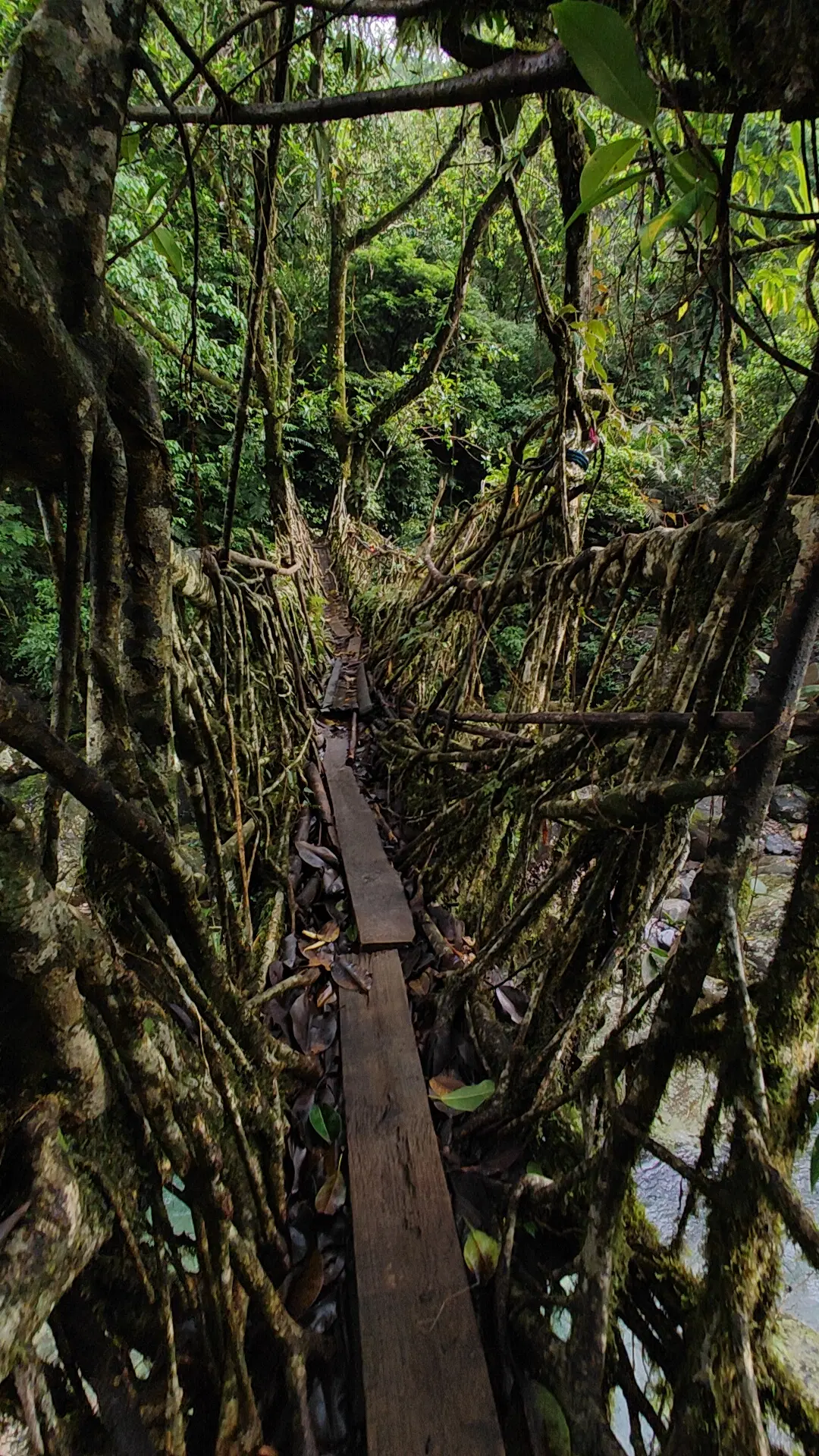 Photo from Prateek Kumar Pallai's trip