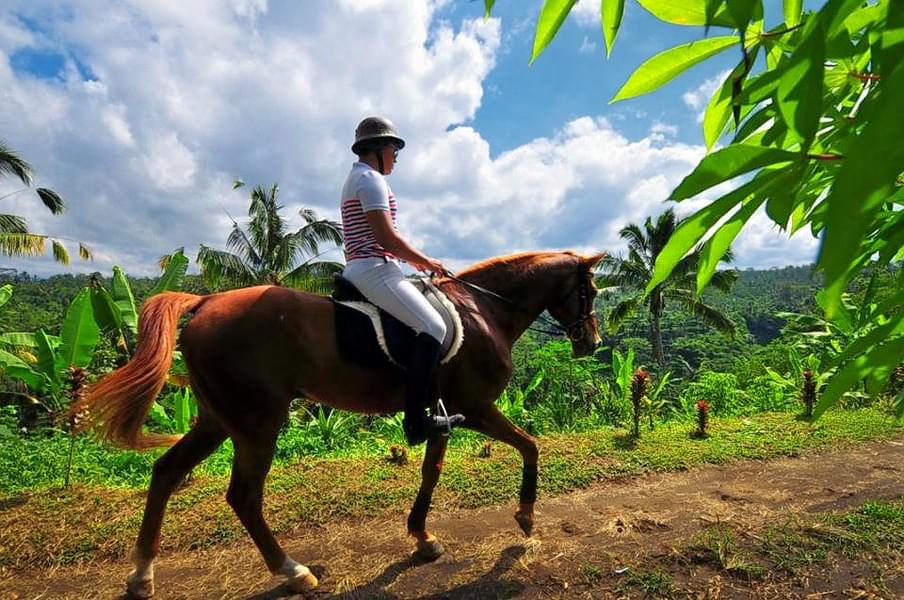Horse Riding In Bali Image