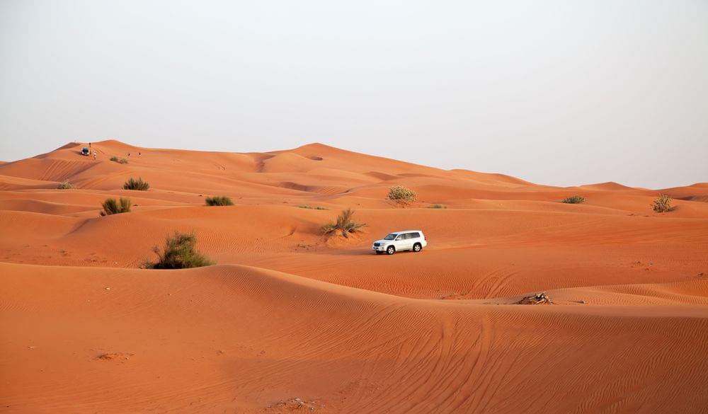 Red Dune Desert Safari Dubai.jpeg