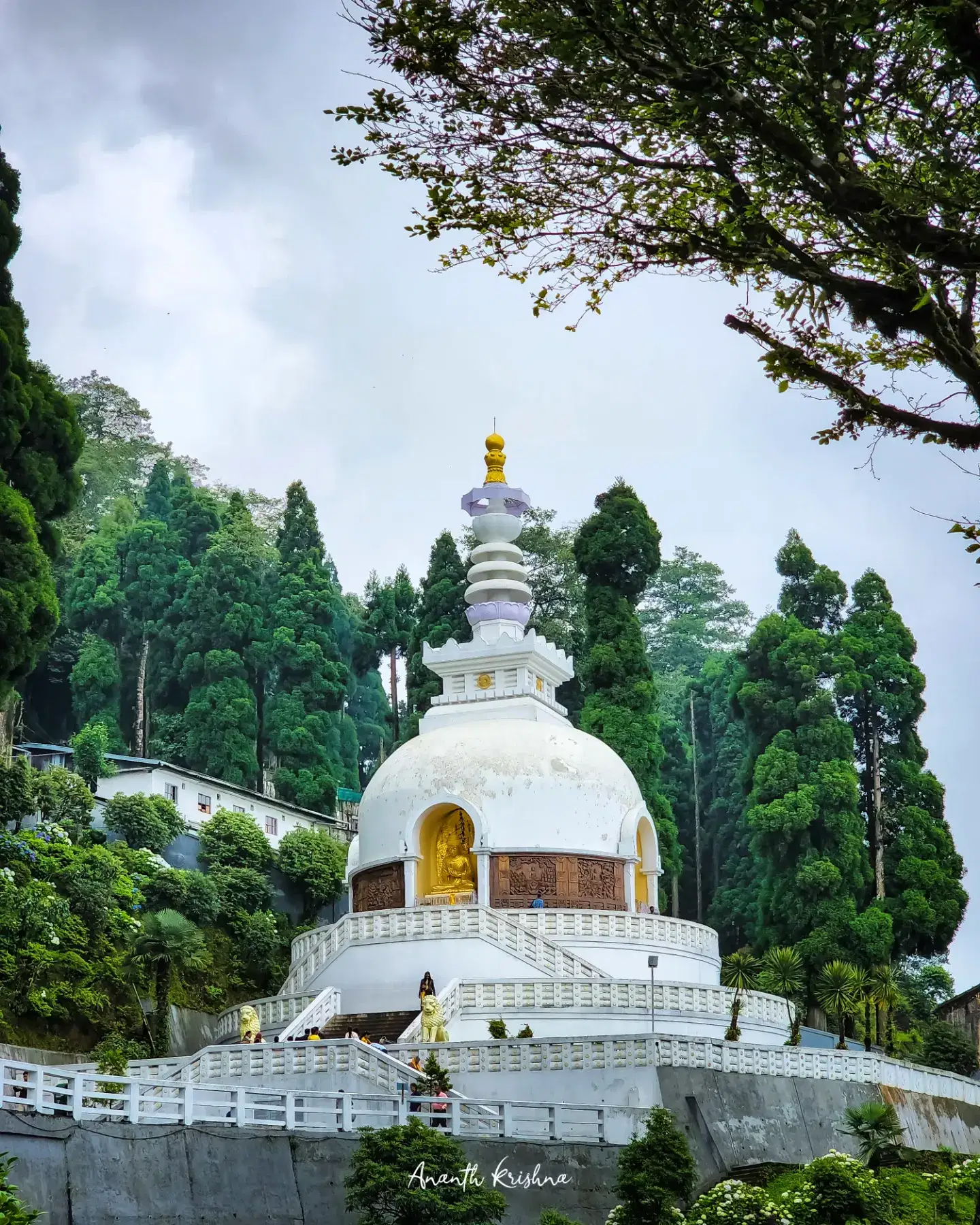 Photo from Ananth Kolli's trip