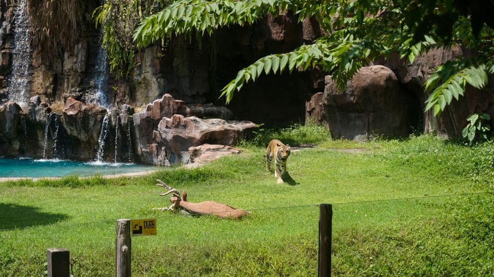 Jardin des Plantes
