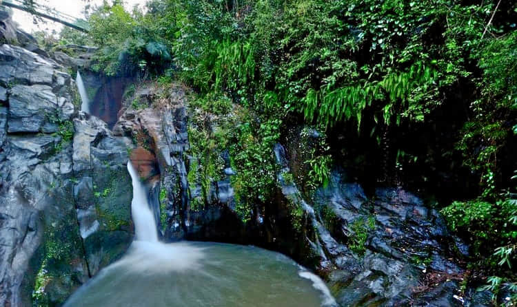 Keralamkundu Waterfalls, <em>Malappuram</em>