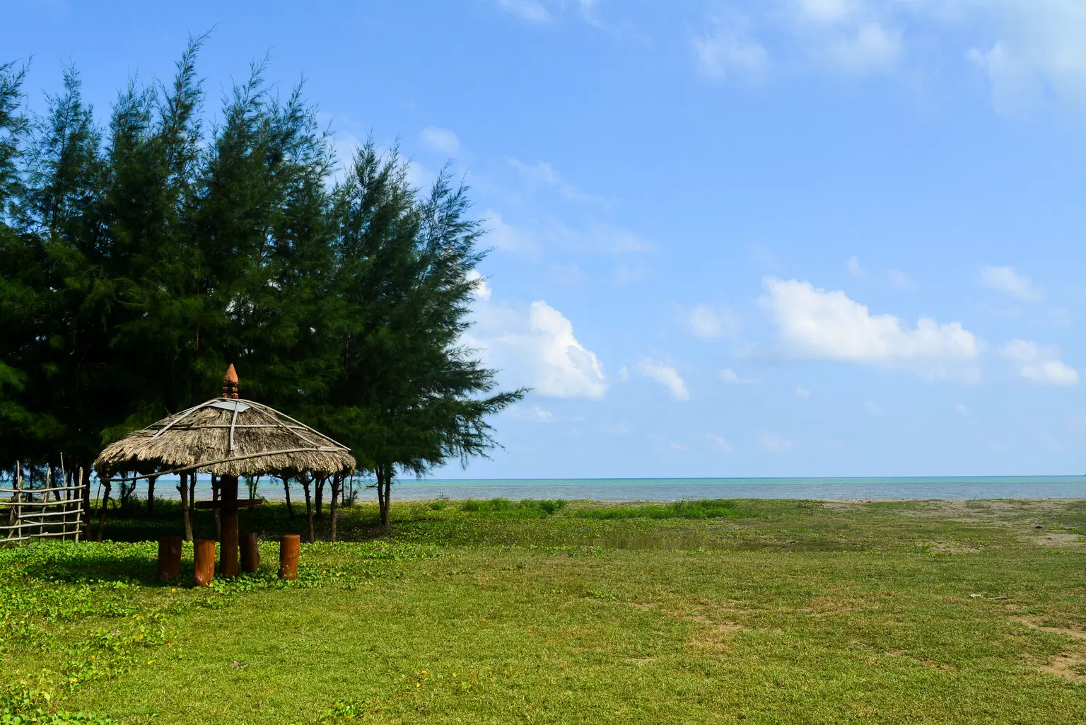 Mangrove Walkway Dhanih Nallah