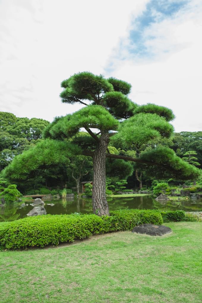 Ecological Park