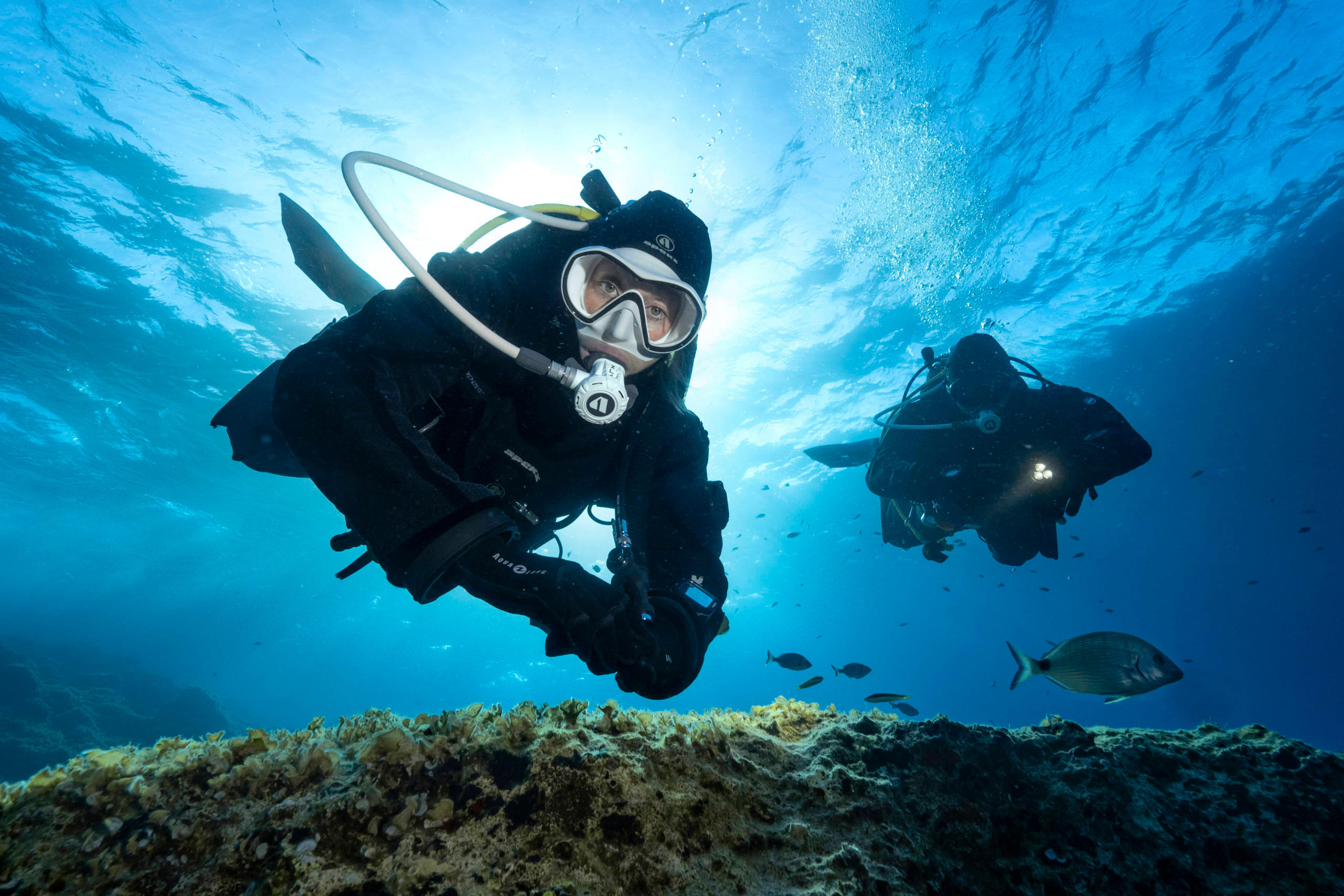 Master Scuba Diver Padi