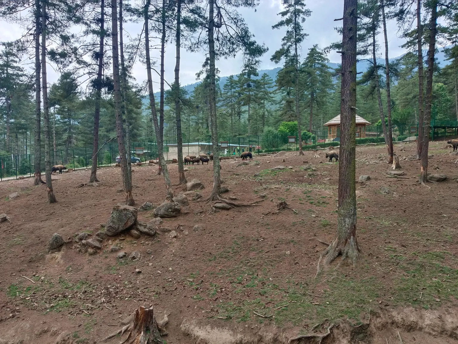 Photo from Sonia Gupta's trip