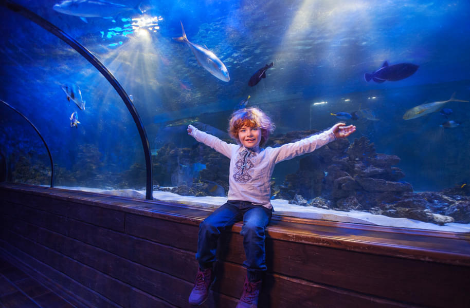 Come along with your kids at Sea Life Brighton which is one of the oldest aquariums in the world