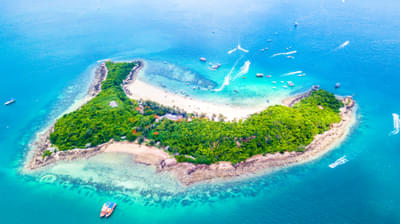 Bangkok Pattaya Tour Package 4 Nights 5 Days Day 1