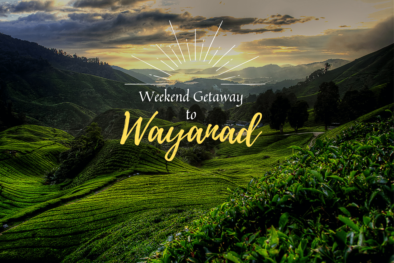 No better way to spend your weekend than at Wayanad