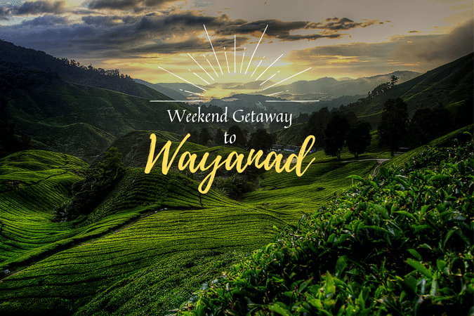 No better way to spend your weekend than at Wayanad