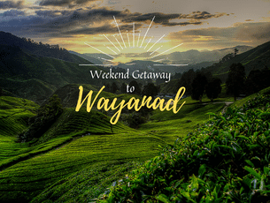 No better way to spend your weekend than at Wayanad
