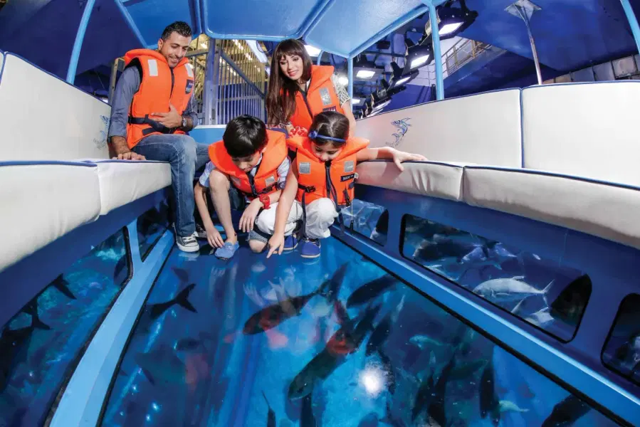 Dubai Aquarium & Penguin Cove Tickets Image