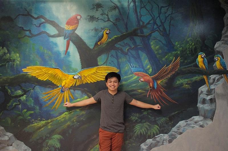 Experience themed zones