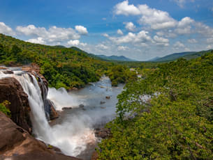 Day Tour to Athirapilly Waterfall