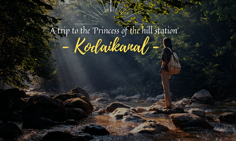 Welcome to Kodaikanal, Welcome to Kodikanal, a pictureqsue hill station, encompassed by endless charm