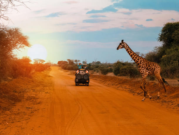 Kenya Honeymoon Package 7 Days