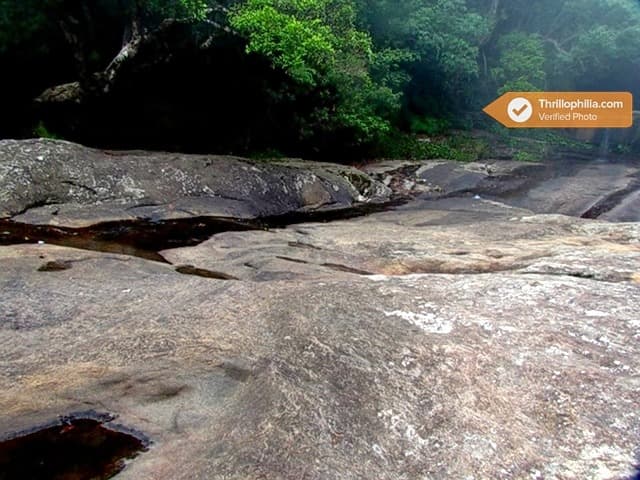 Vattakanal Trekking Image