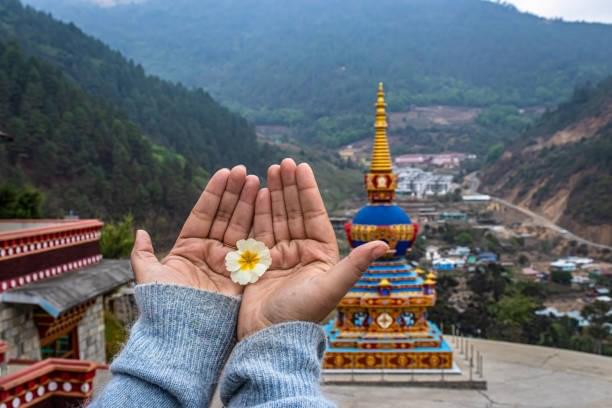 Attend the Morning Chanting Ceremony