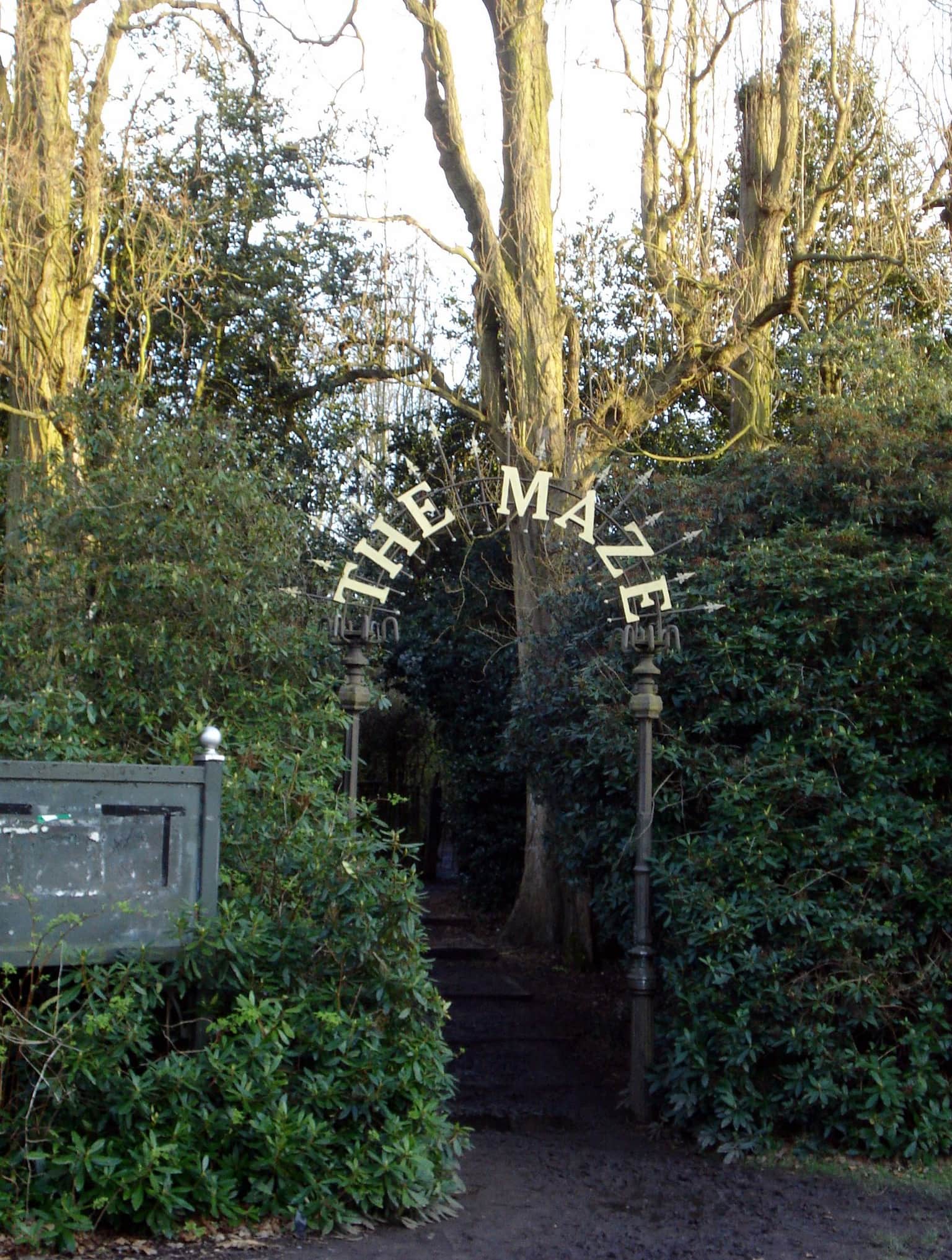 Explore The Maze