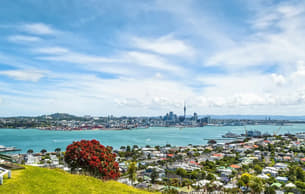 Hzg3i5dakw6x242q66o44abaz3kc 1582360663 cruise2