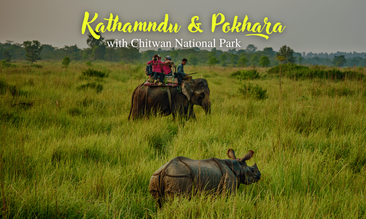 Explore the exotic wildlife at Chitwan National park