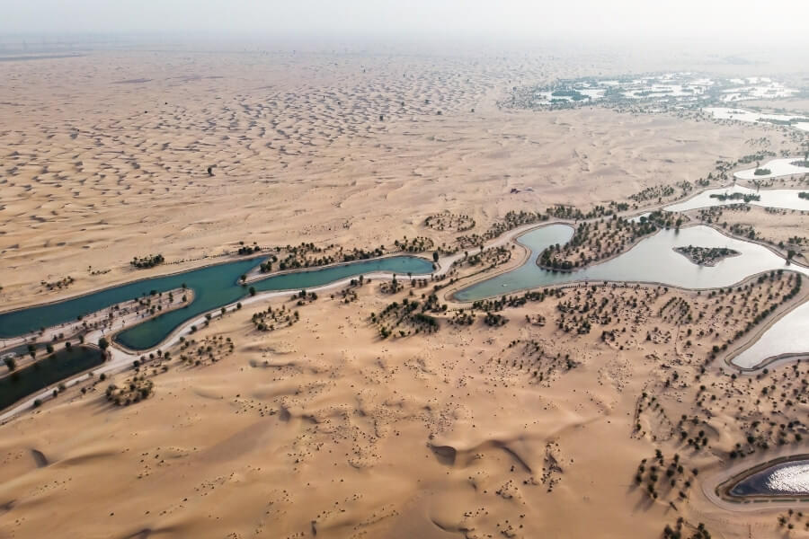 Al Marmoom Desert Conservation Reserve Overview