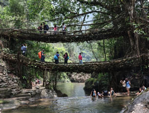 Living Root Bridge Trek
