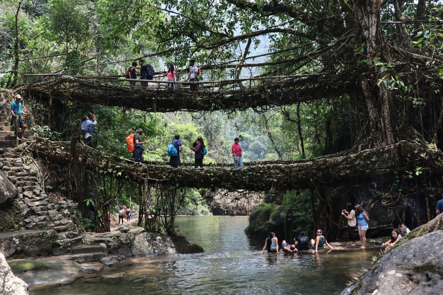 Meghalaya Group Adventure | FREE Living Root Bridge Trek Image