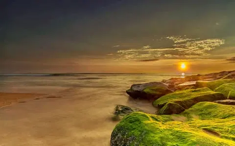 Mangalore