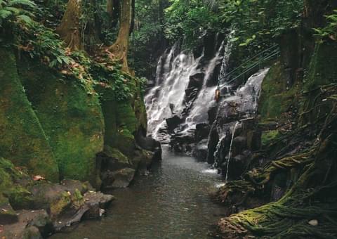 Activity & SightSeeing Image