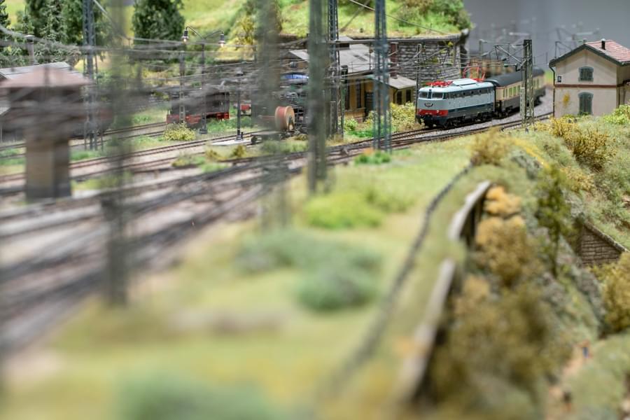 Witness the train models in full-sensory environment