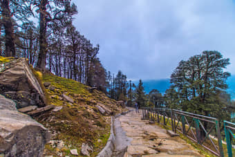 Deoria Tal Chandrashila Trek, Uttarakhand