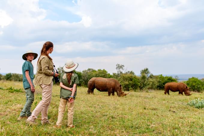 Walking Safari