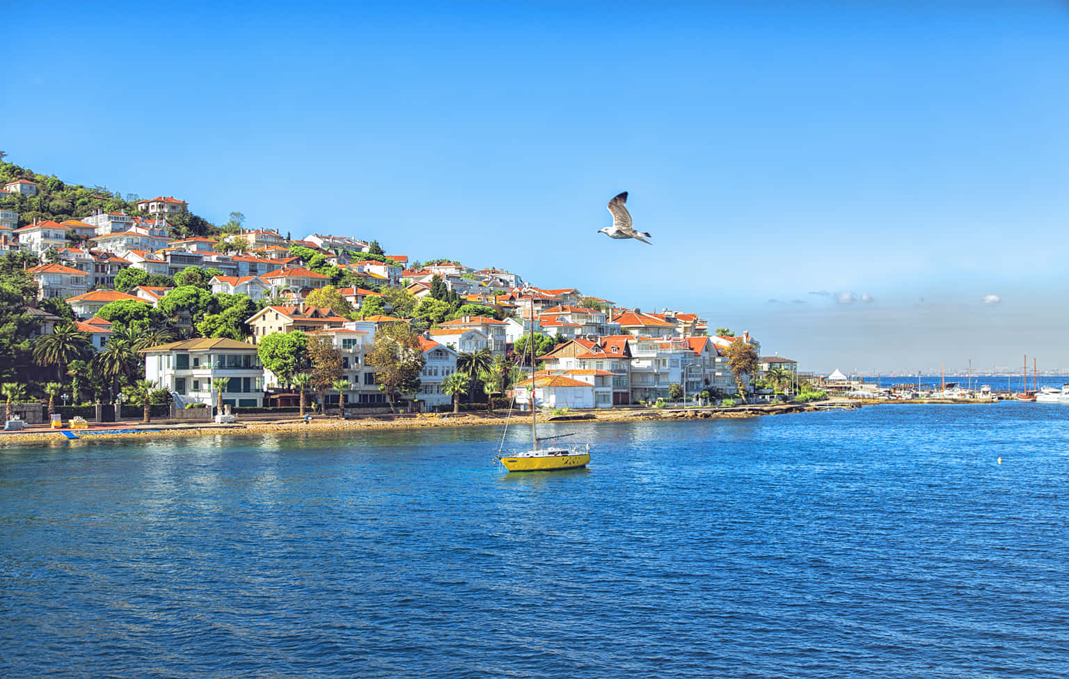 Full Day Princes Islands Tour with Lunch