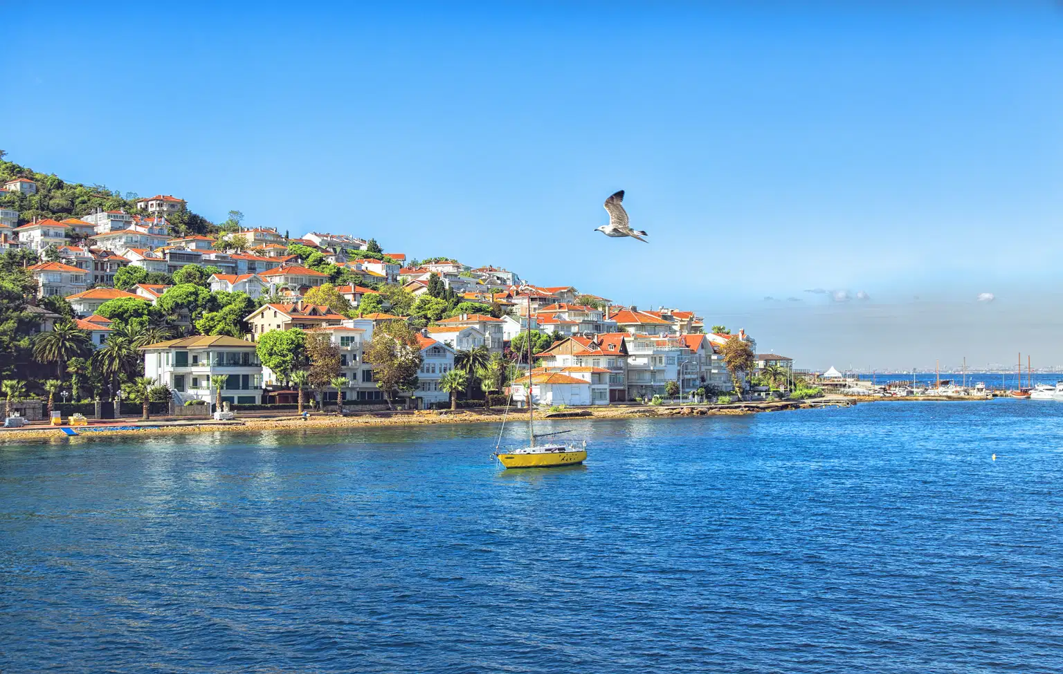 Full Day Princes Islands Tour with Lunch