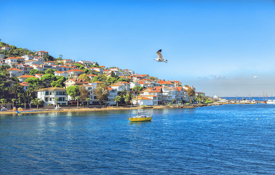 Full Day Princes Islands Tour with Lunch Image