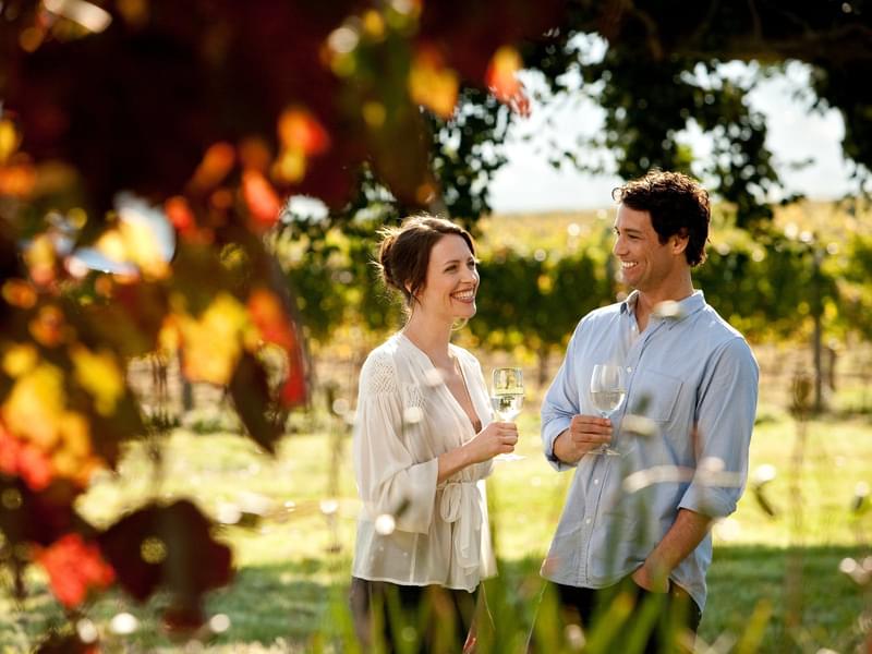 Yarra Valley Wine Tours in Melbourne Image