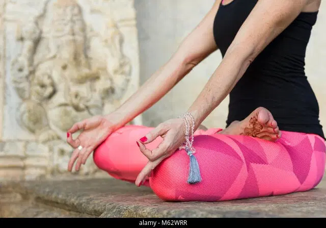 Attend a Meditation Session at Datta Peetham
