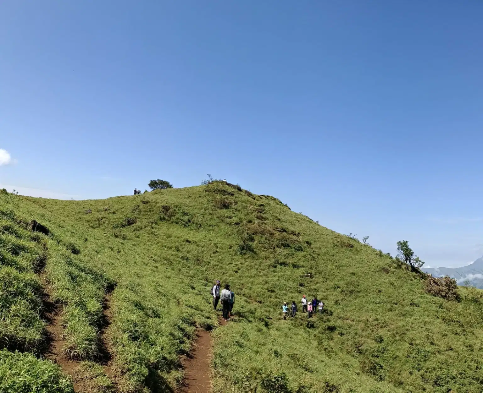 Half Day Karkette Trek, Coorg