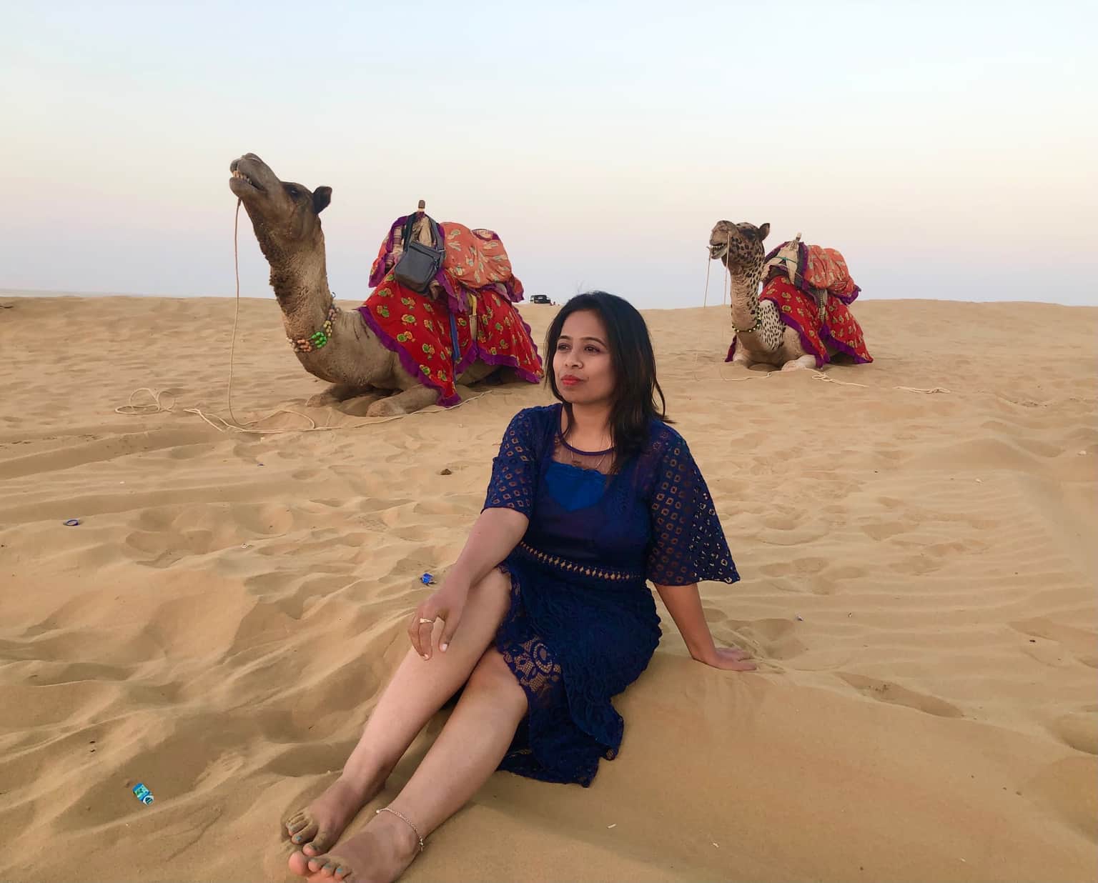 Traveller photo