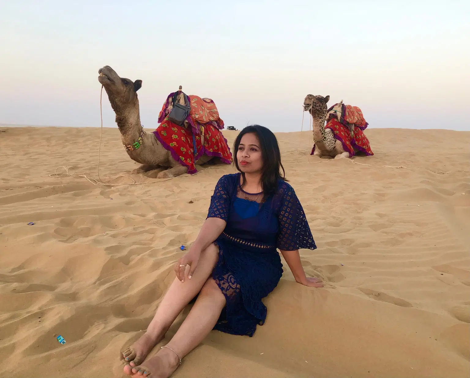 Traveller photo