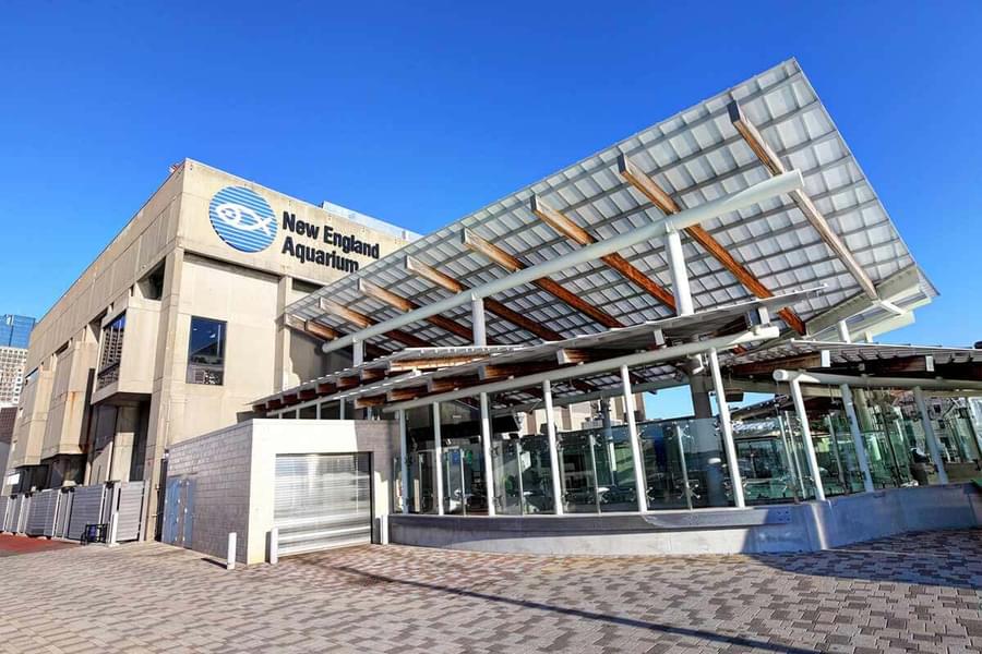 Welcome to the New England Aquarium in Boston