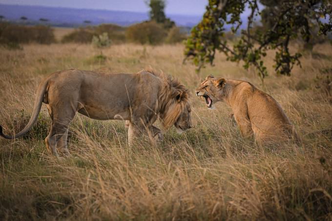 Marakele National Park