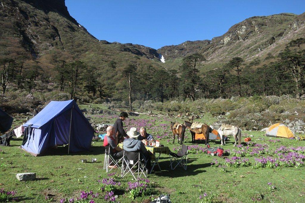 Singalila Trek